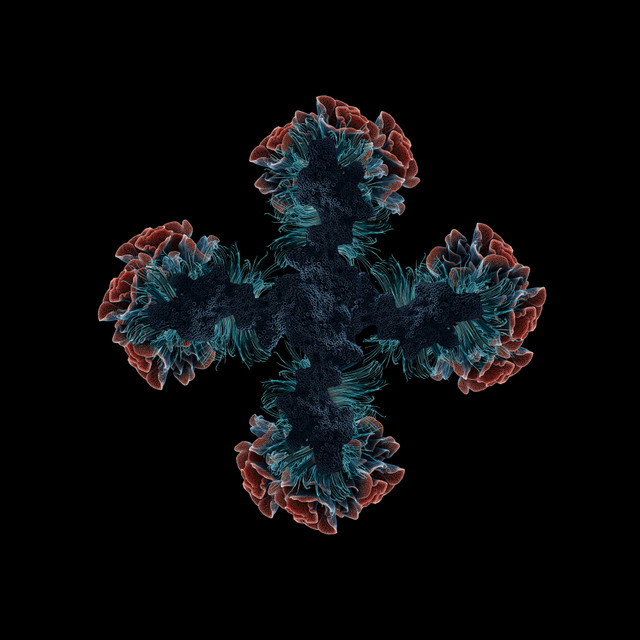 Room 1.6 artwork
