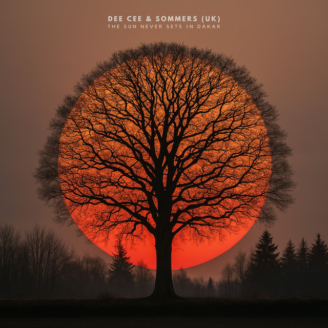 The Sun Never Sets In Dakar artwork